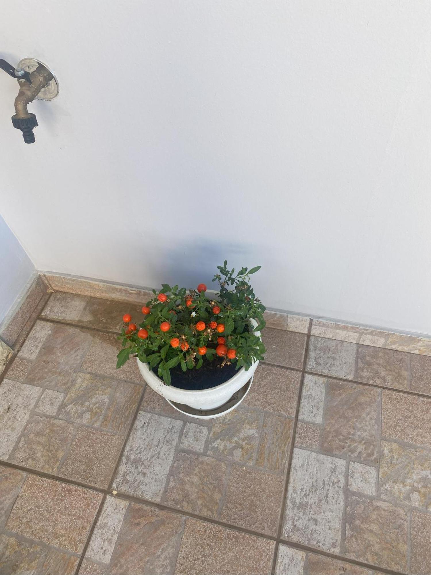New Unique Apartment In Heraklion Exterior foto