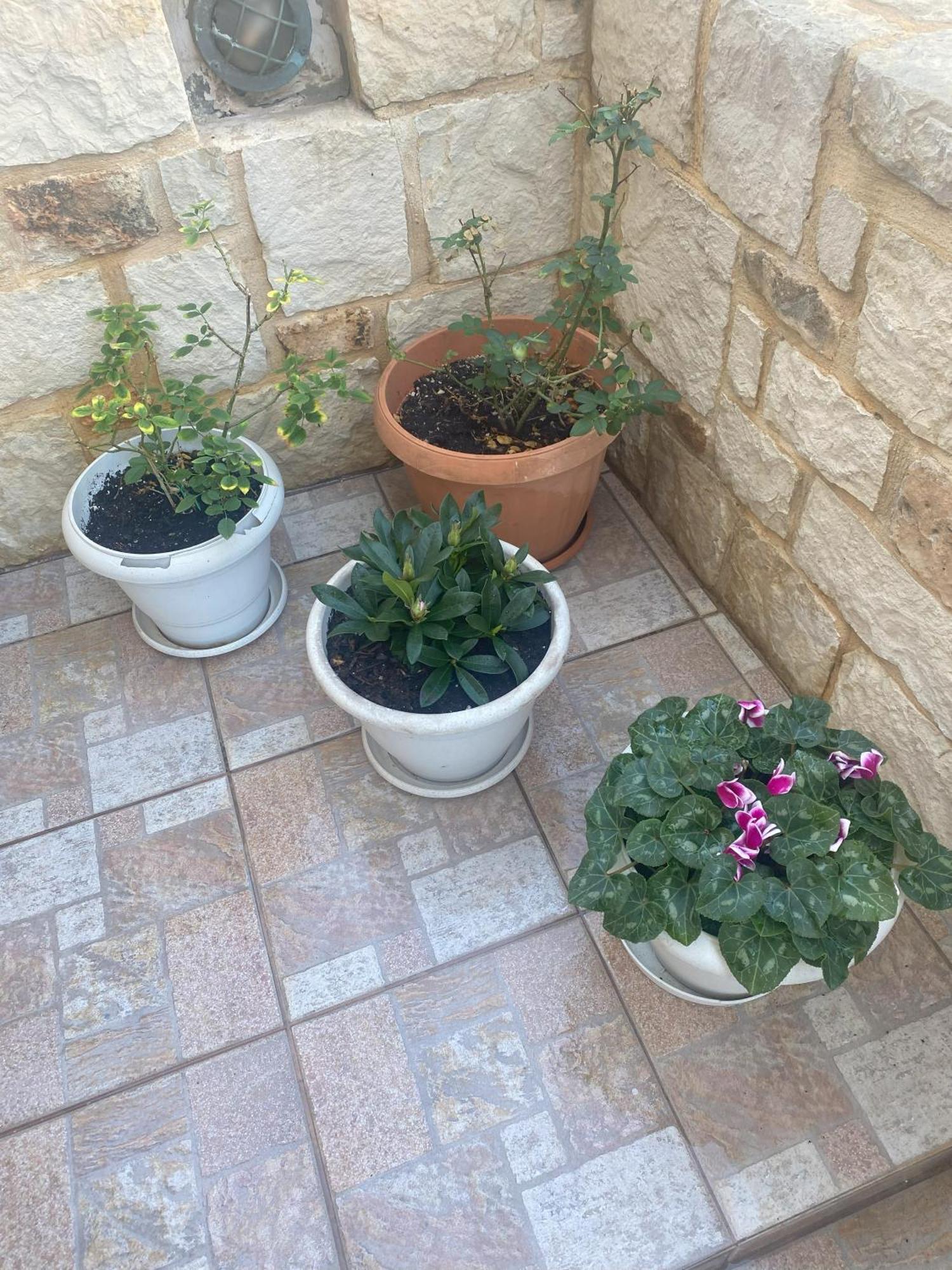 New Unique Apartment In Heraklion Exterior foto